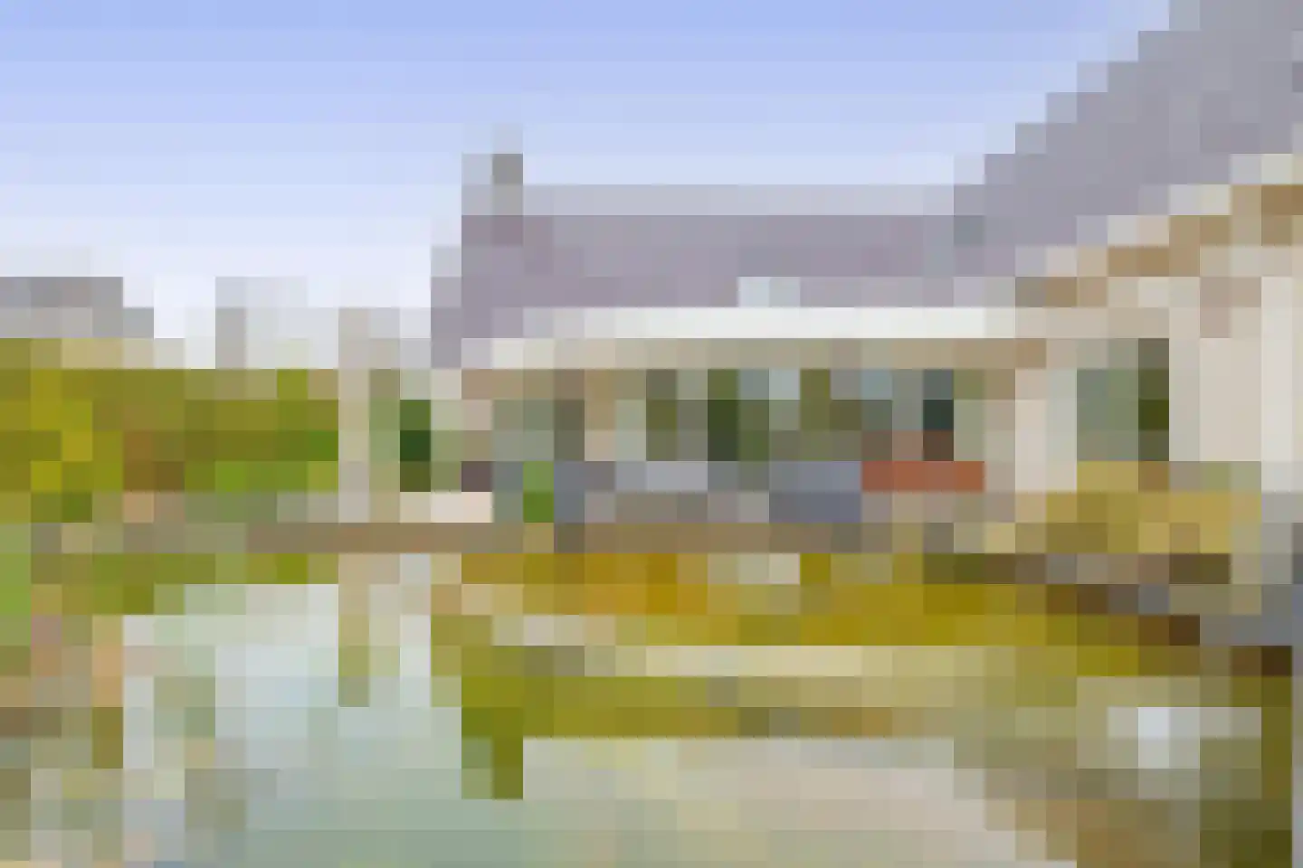 Het eenspan 4 Steenwijk thumbnail 43