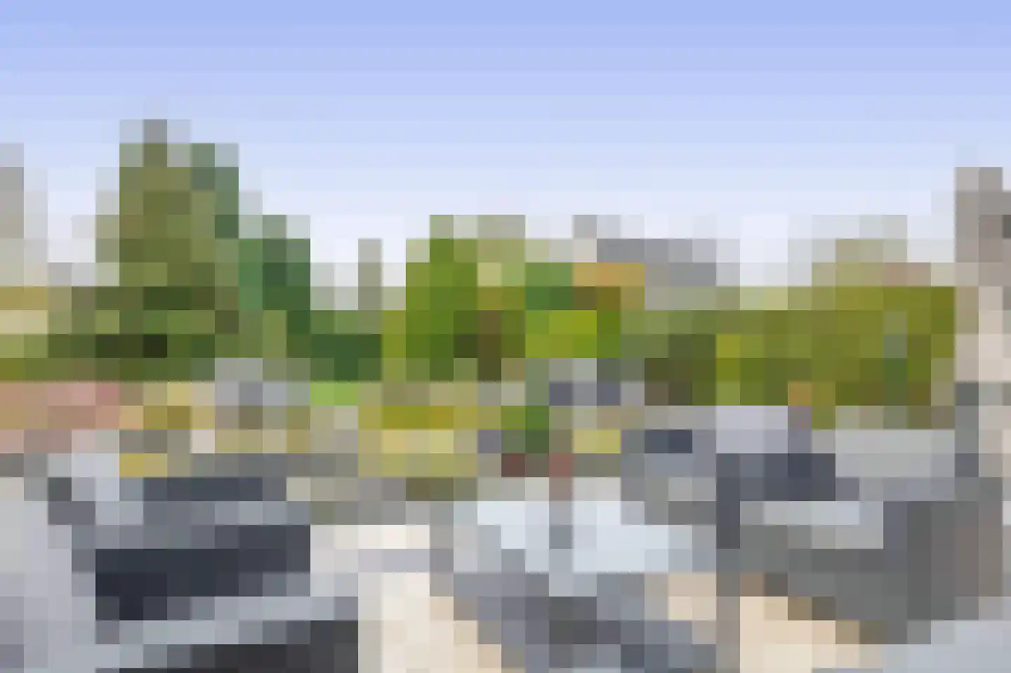 Het eenspan 4 Steenwijk thumbnail 45