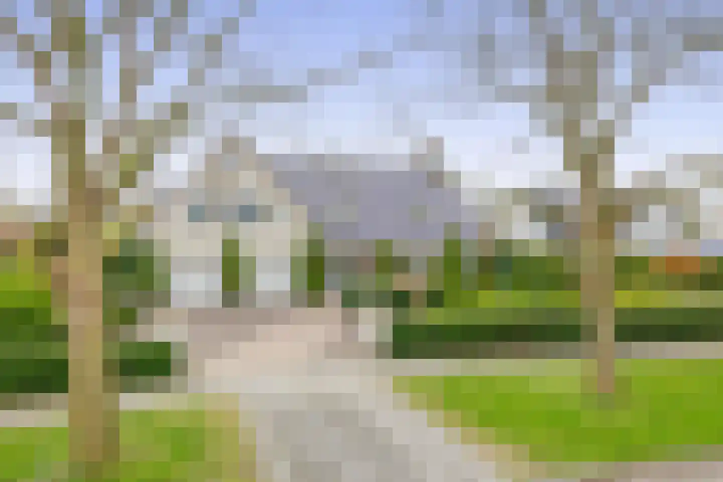 Het eenspan 4 Steenwijk thumbnail 5