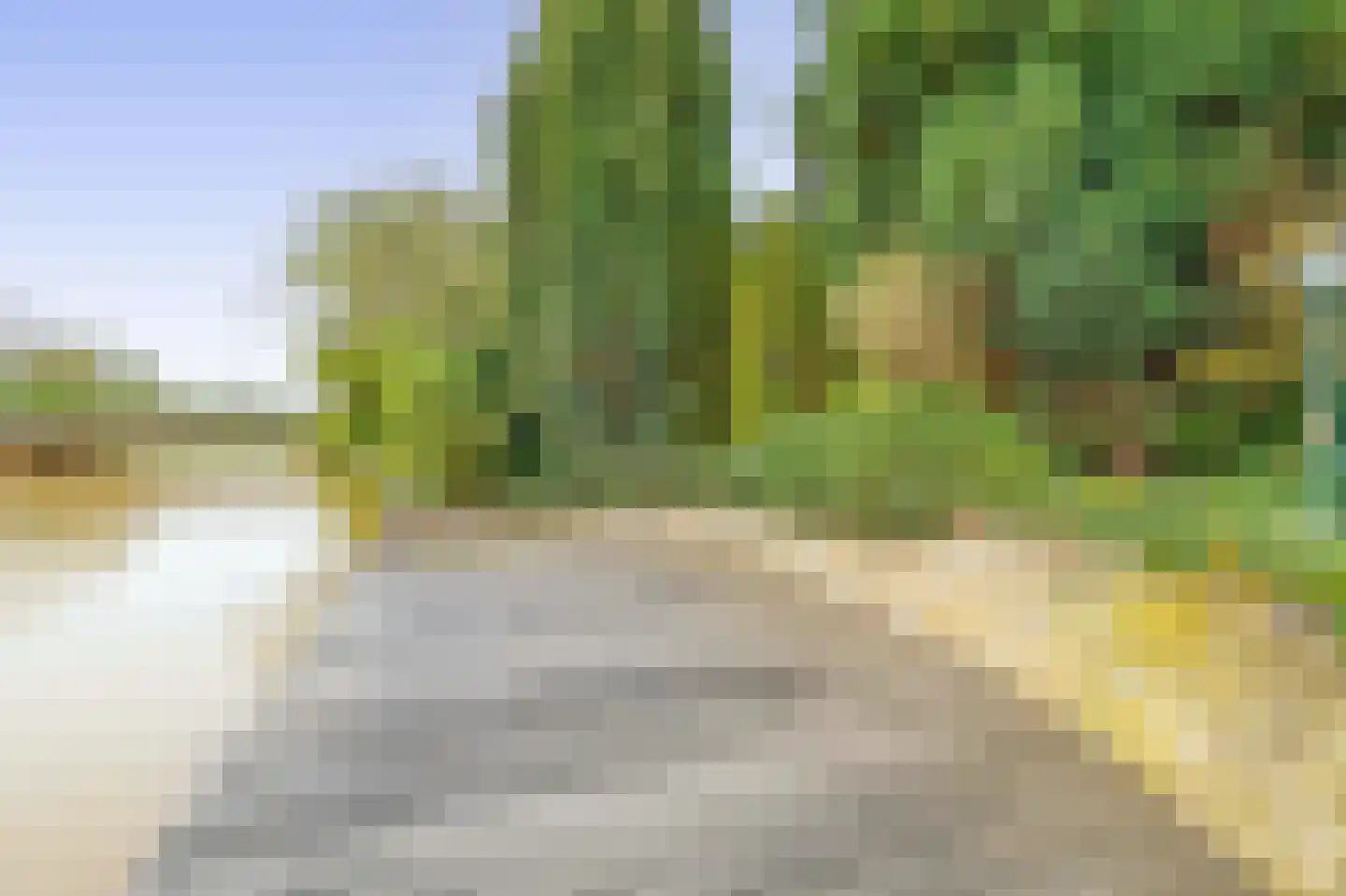 Het eenspan 4 Steenwijk thumbnail 50