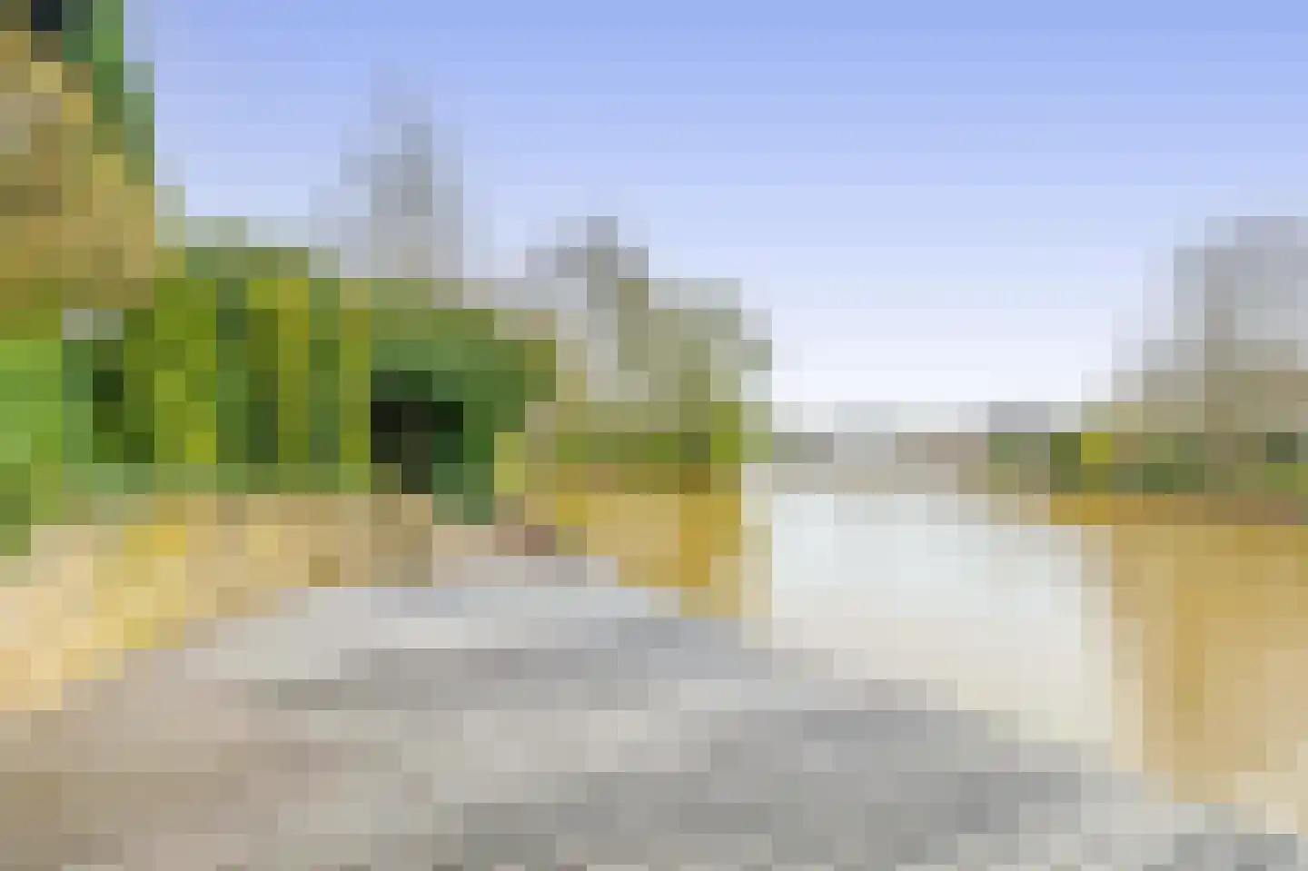 Het eenspan 4 Steenwijk thumbnail 51