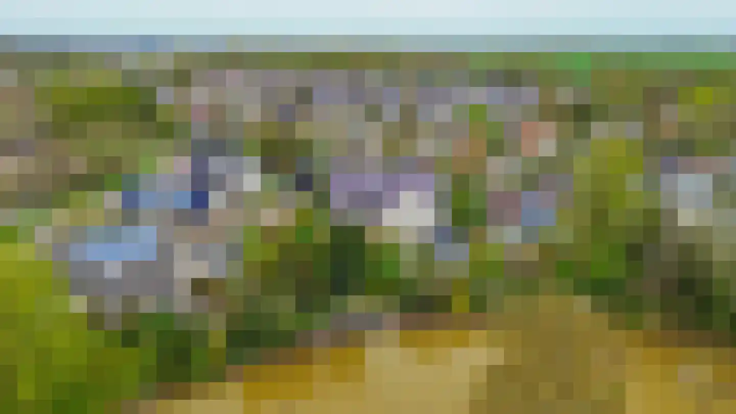 Het eenspan 4 Steenwijk thumbnail 52