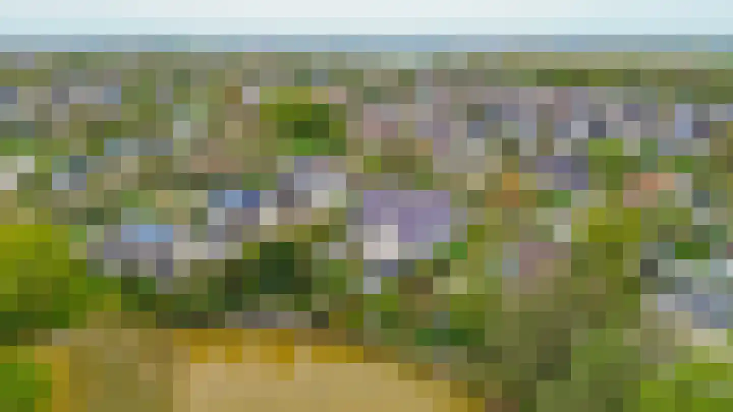 Het eenspan 4 Steenwijk thumbnail 53