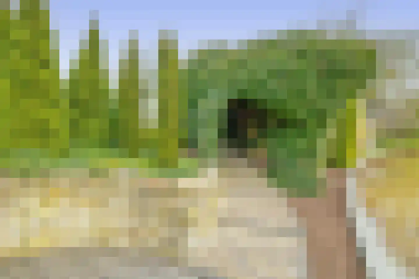 Het eenspan 4 Steenwijk thumbnail 54