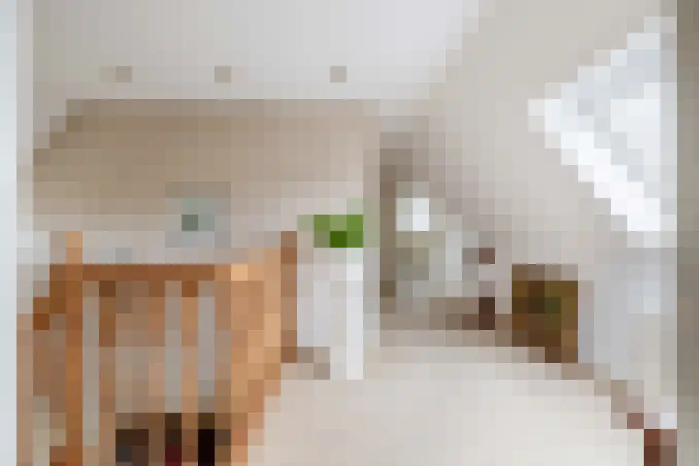 Het eenspan 4 Steenwijk thumbnail 56