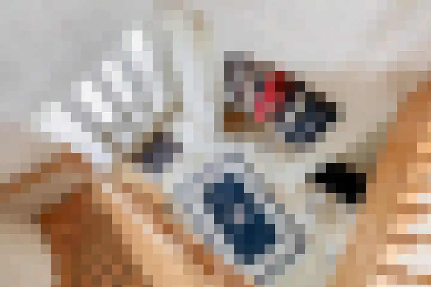 Het eenspan 4 Steenwijk thumbnail 57