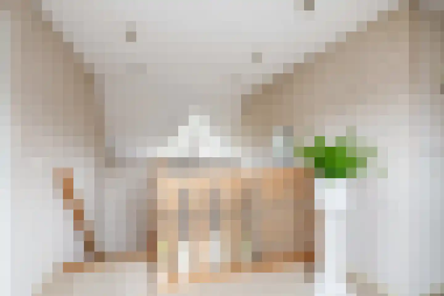 Het eenspan 4 Steenwijk thumbnail 58