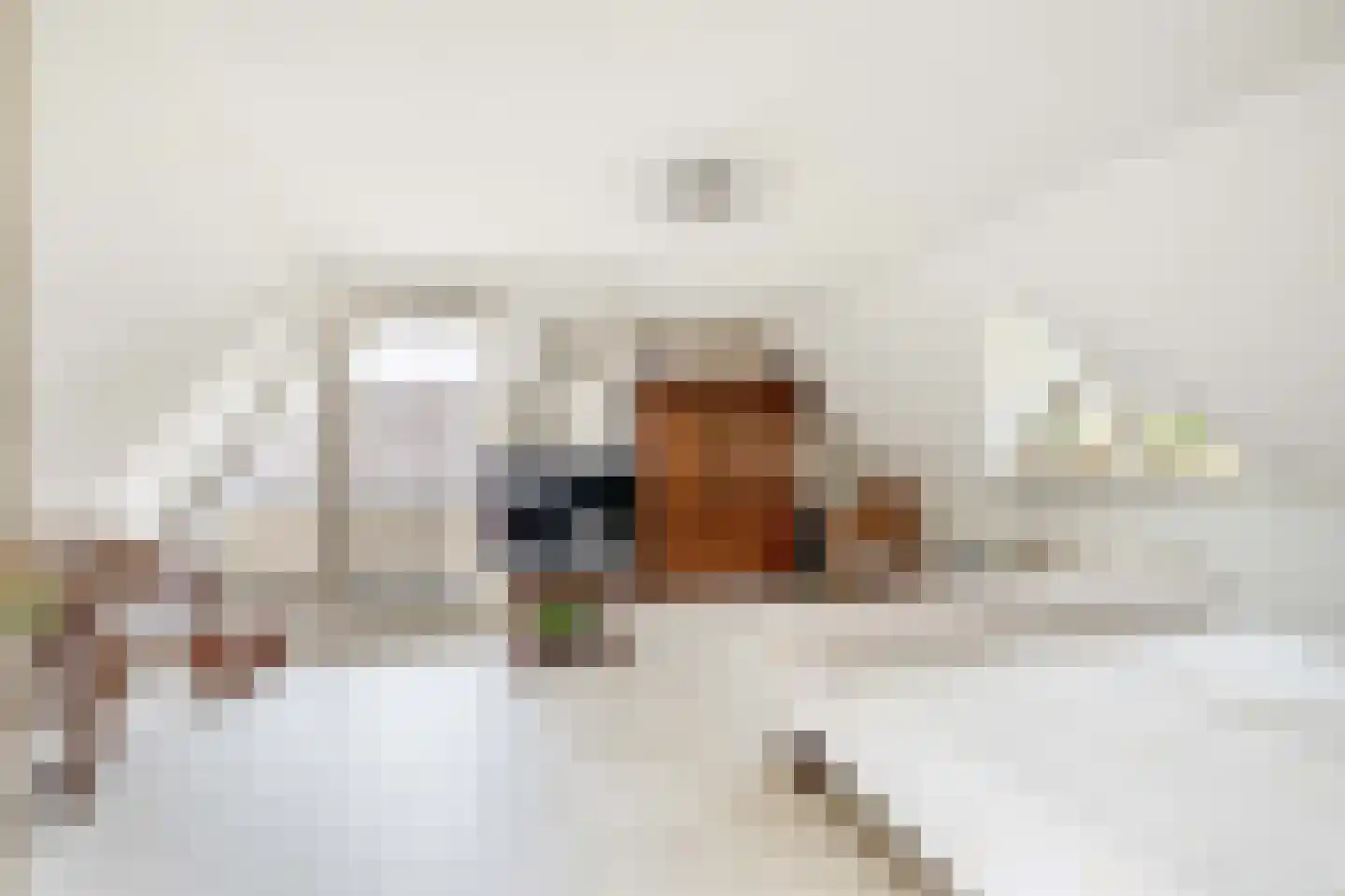 Het eenspan 4 Steenwijk thumbnail 60