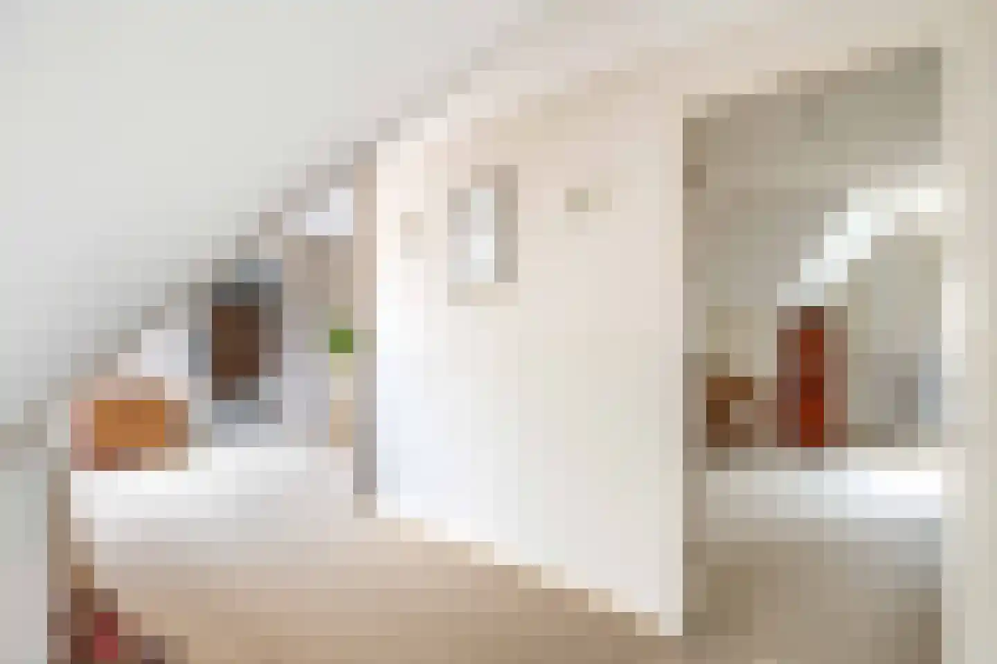 Het eenspan 4 Steenwijk thumbnail 64