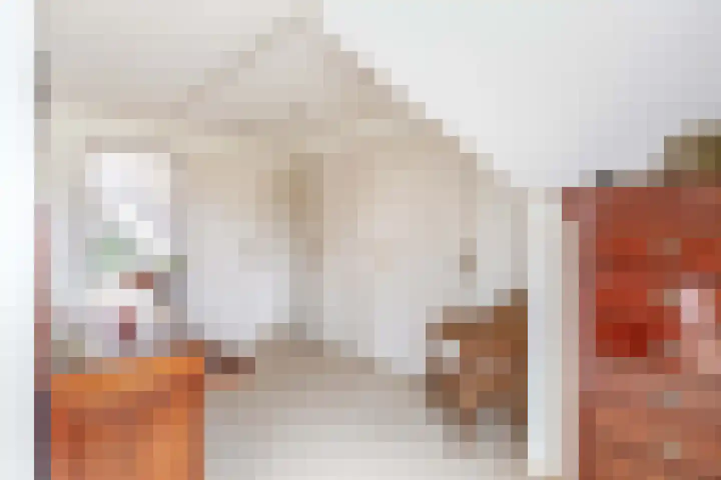 Het eenspan 4 Steenwijk thumbnail 68