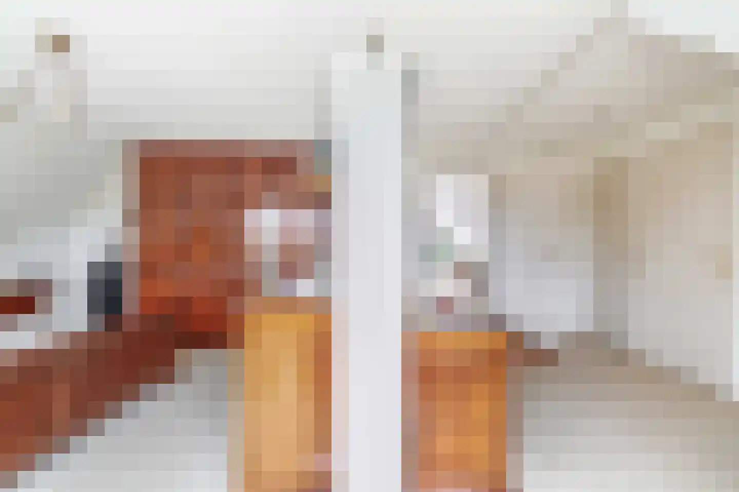 Het eenspan 4 Steenwijk thumbnail 69