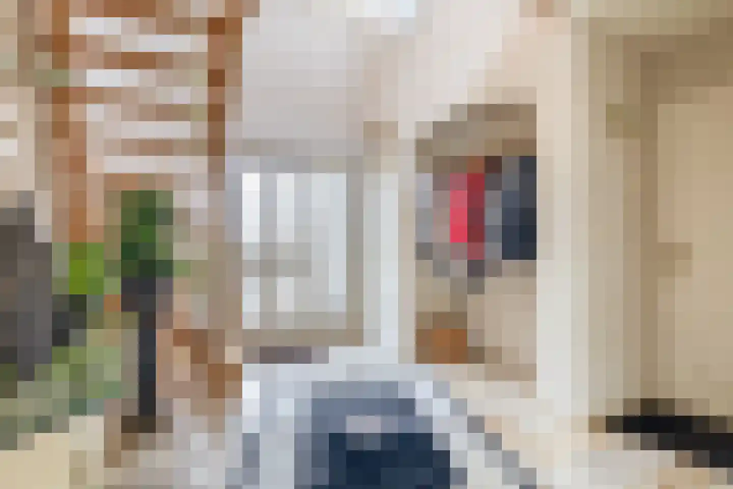 Het eenspan 4 Steenwijk thumbnail 7