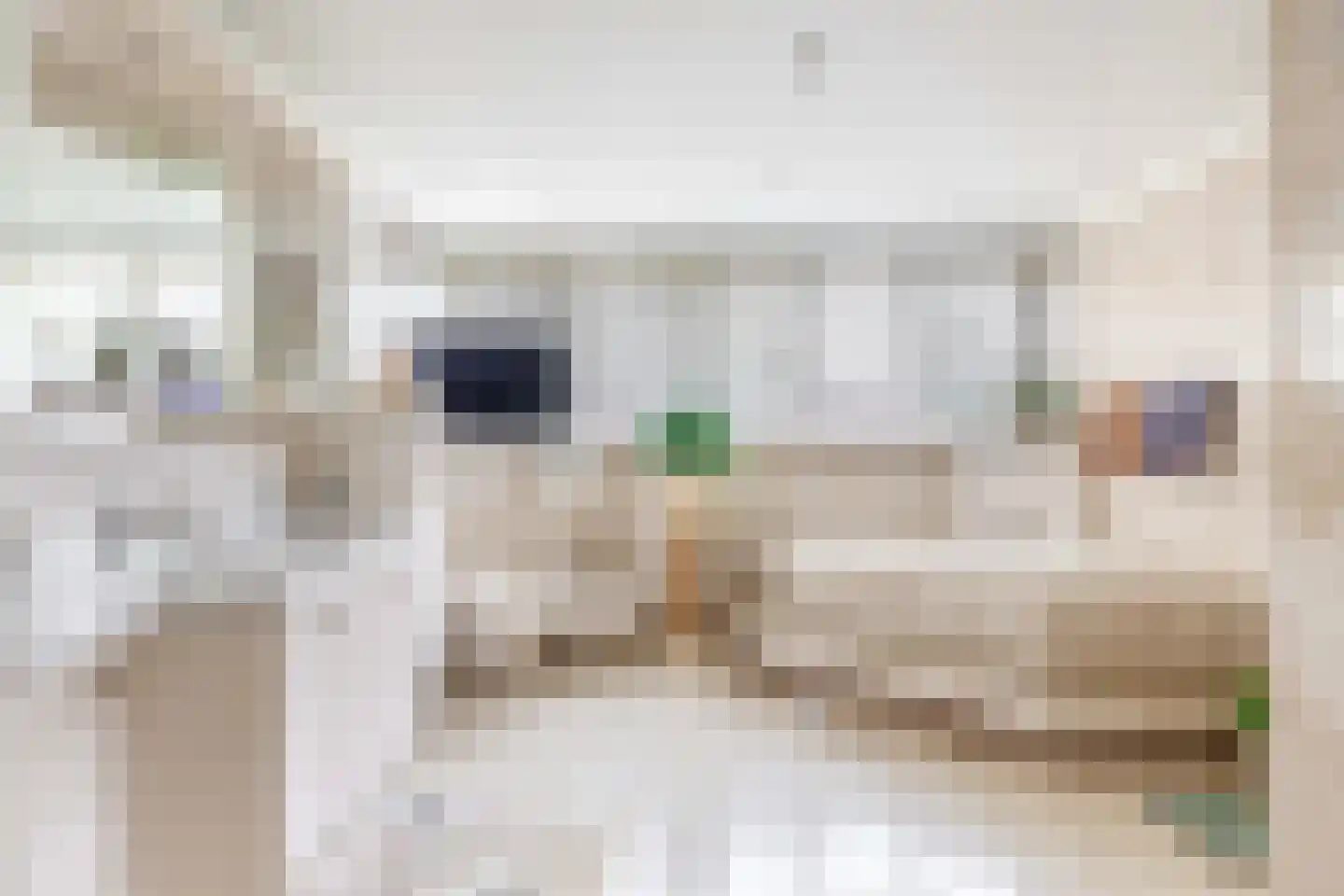 Het eenspan 4 Steenwijk thumbnail 71