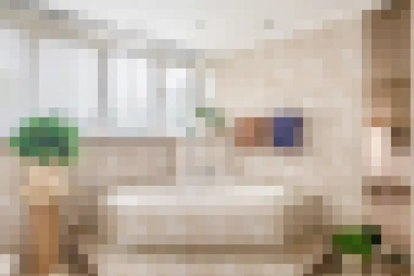 Het eenspan 4 Steenwijk thumbnail 73