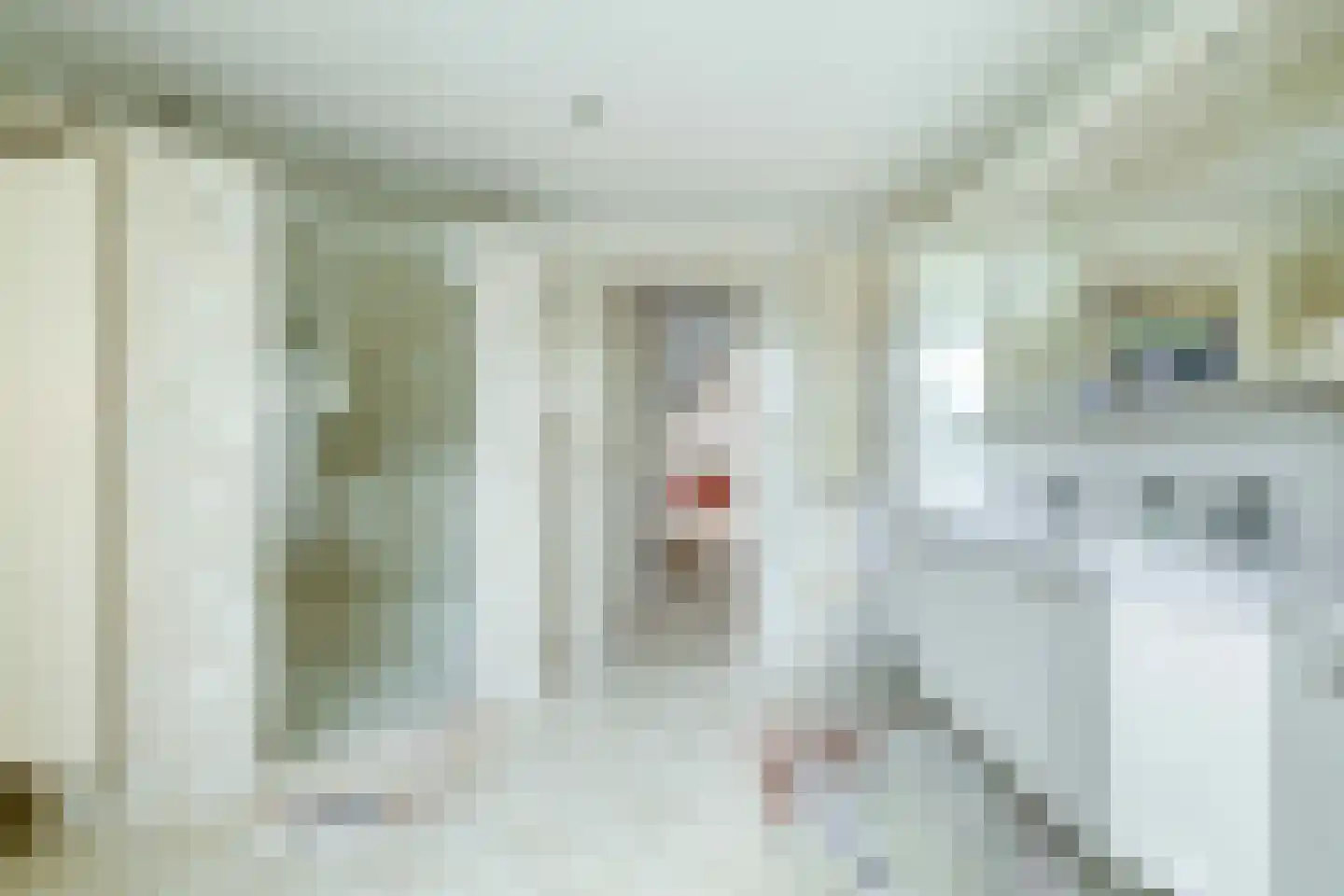Het eenspan 4 Steenwijk thumbnail 74