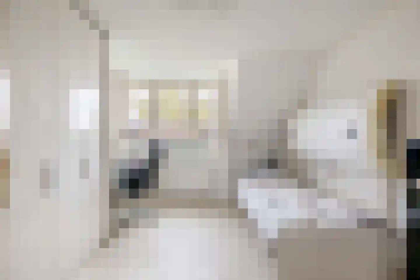 Het eenspan 4 Steenwijk thumbnail 75