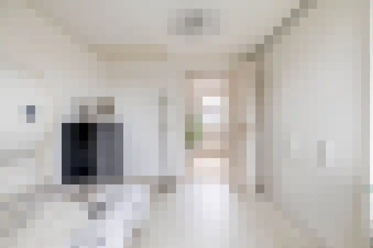Het eenspan 4 Steenwijk thumbnail 76