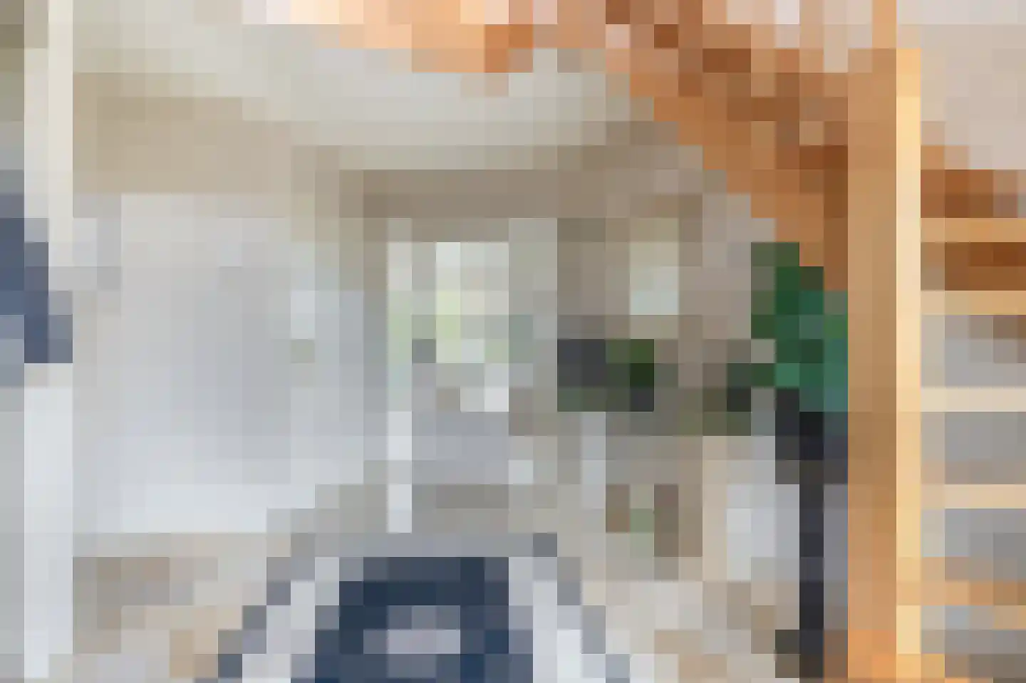 Het eenspan 4 Steenwijk thumbnail 8