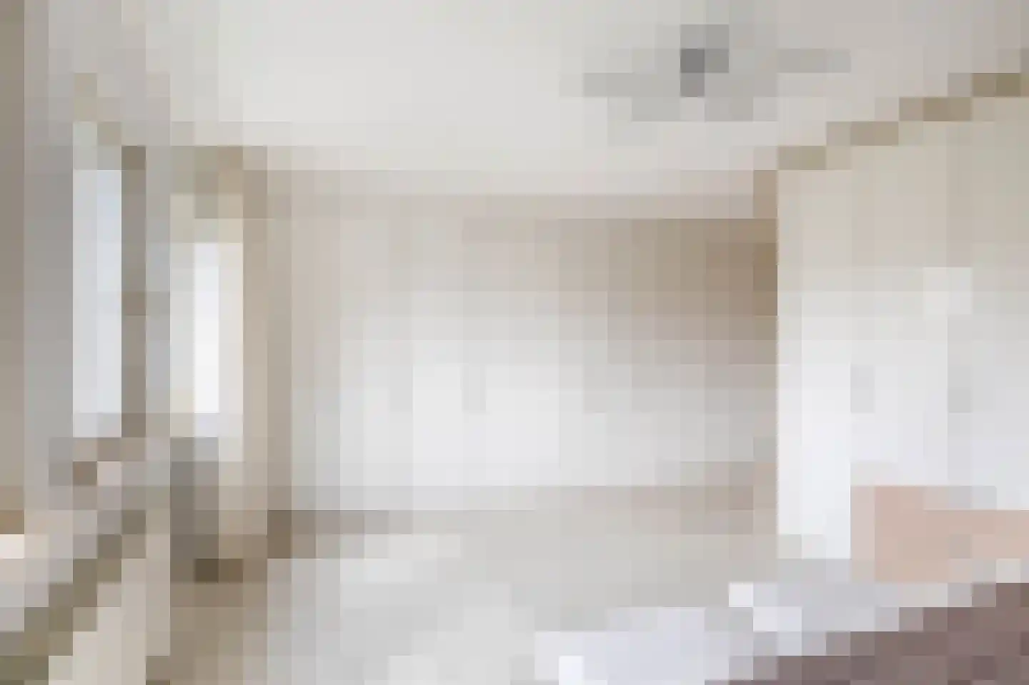 Het eenspan 4 Steenwijk thumbnail 80