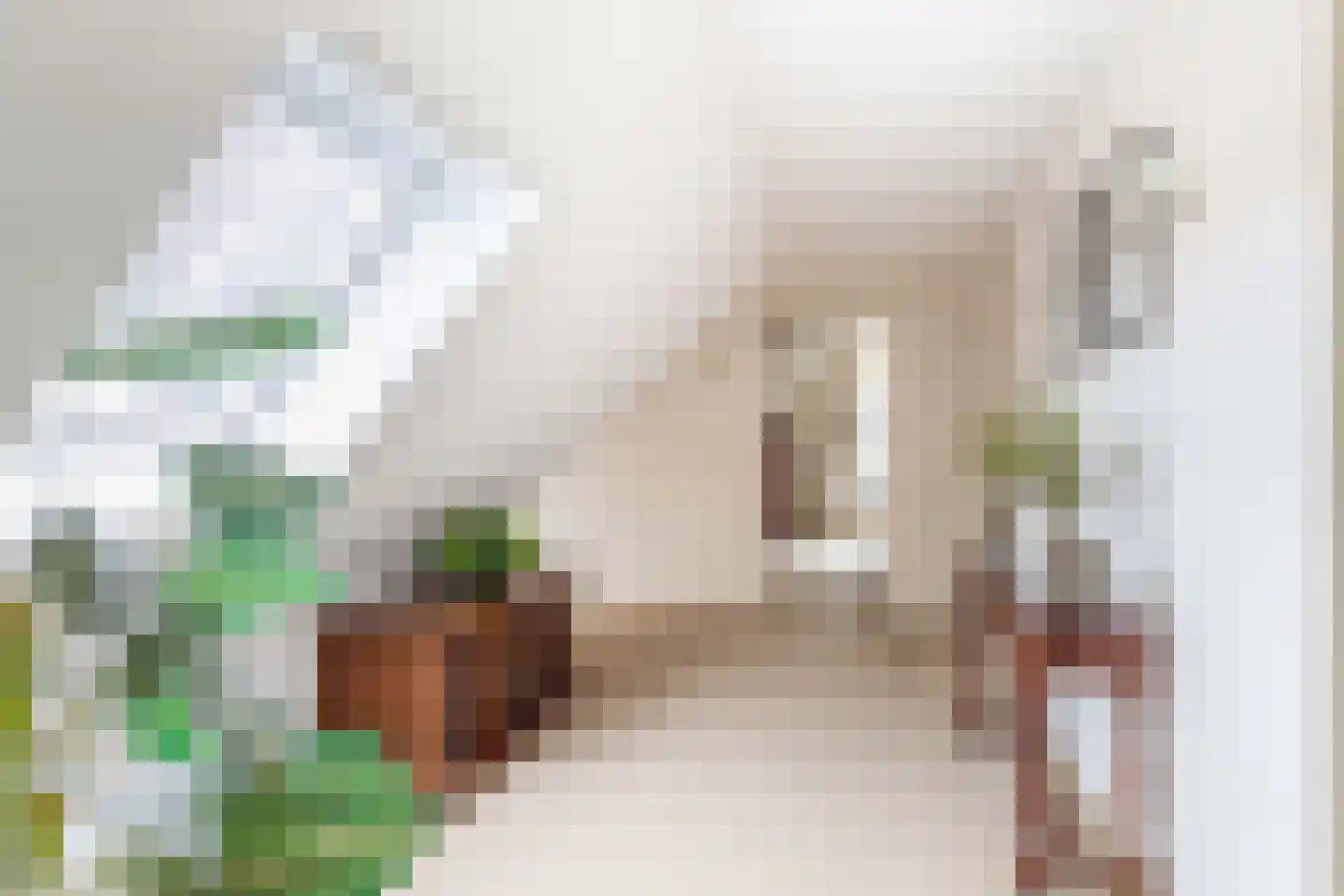 Het eenspan 4 Steenwijk thumbnail 82