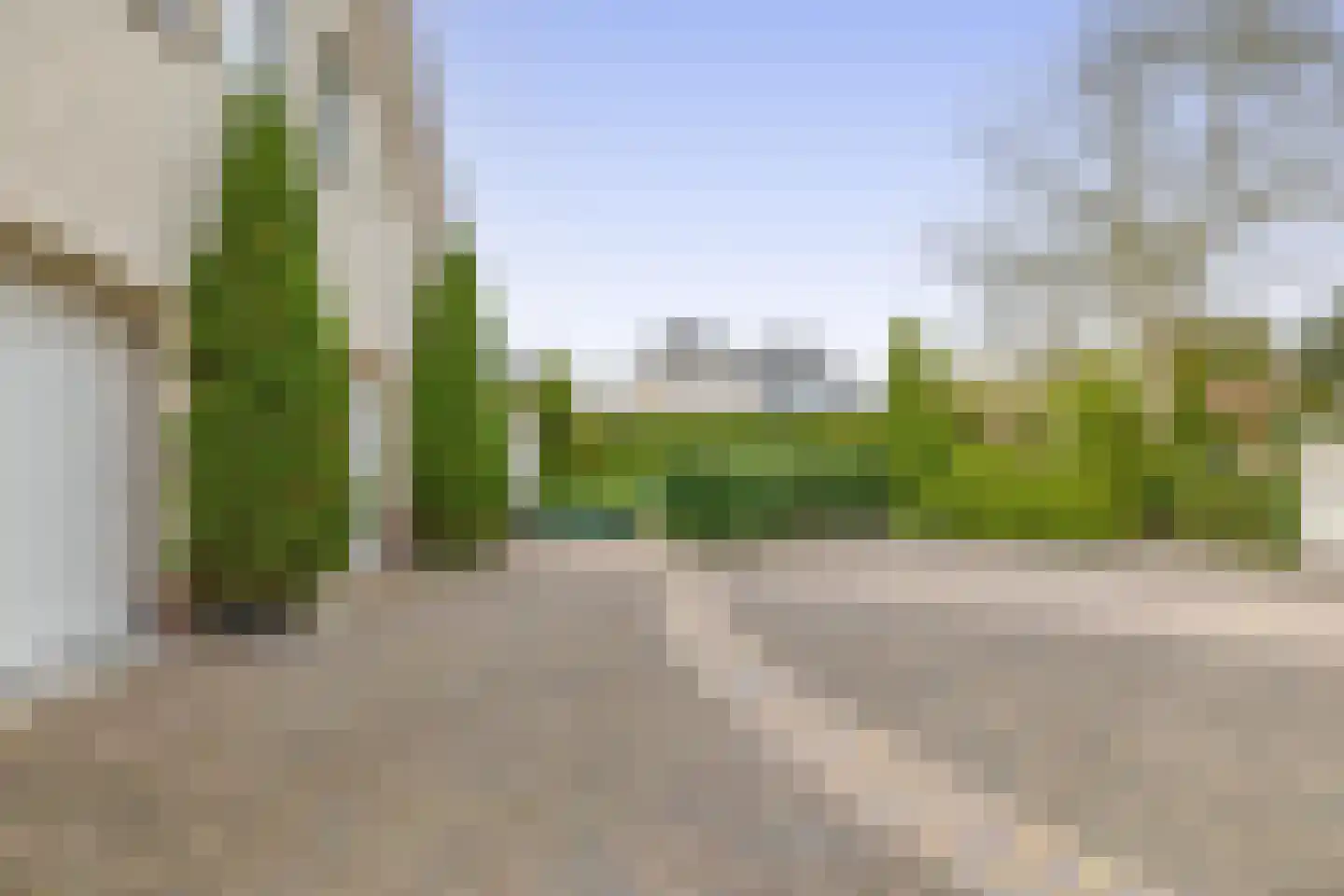 Het eenspan 4 Steenwijk thumbnail 85