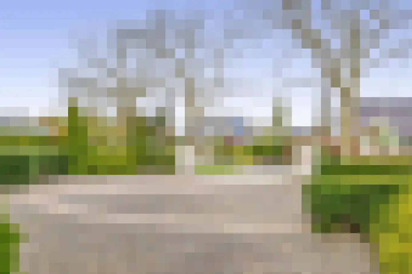 Het eenspan 4 Steenwijk thumbnail 86