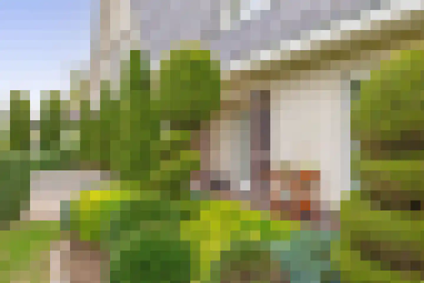 Het eenspan 4 Steenwijk thumbnail 88