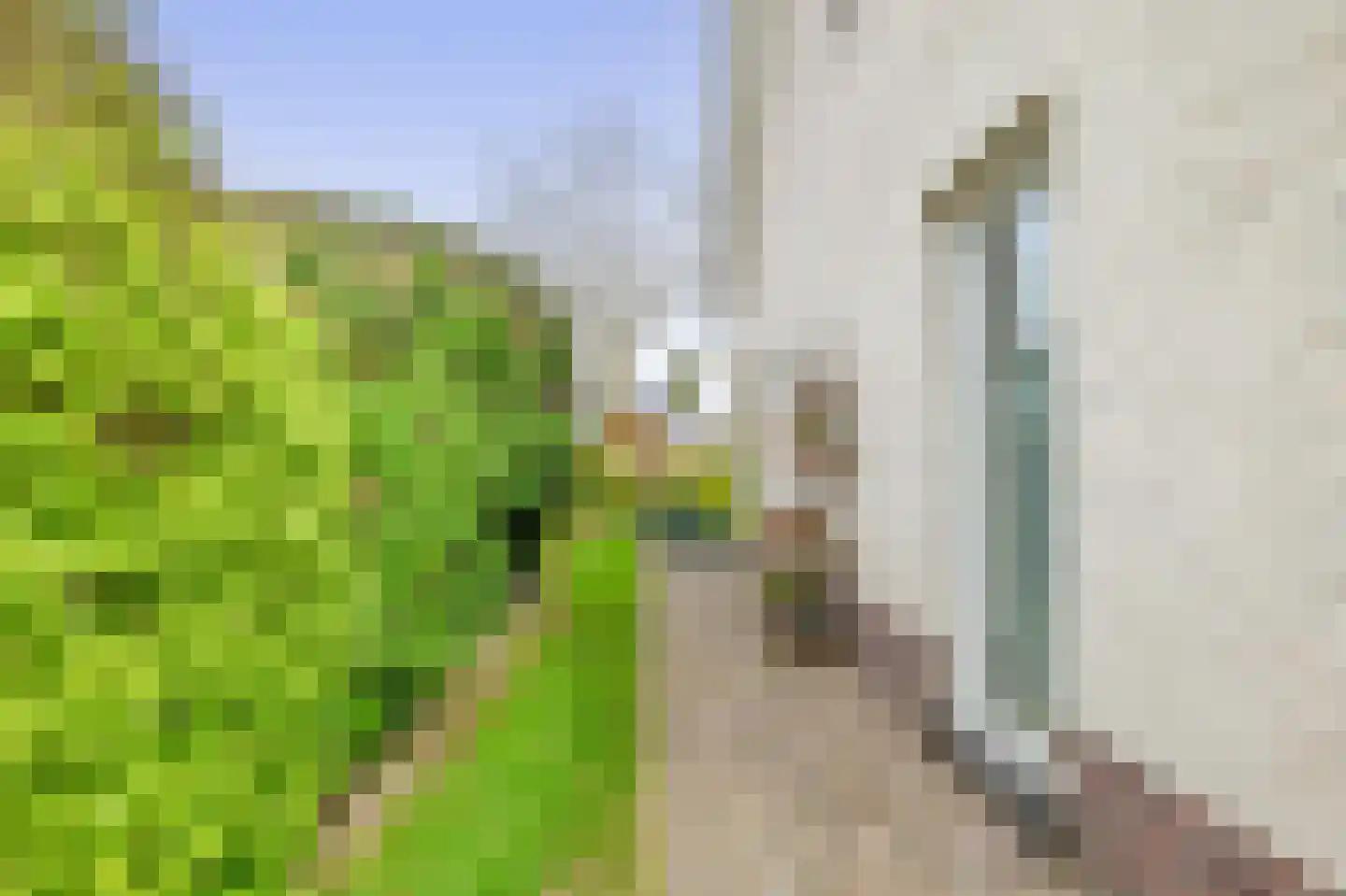 Het eenspan 4 Steenwijk thumbnail 89