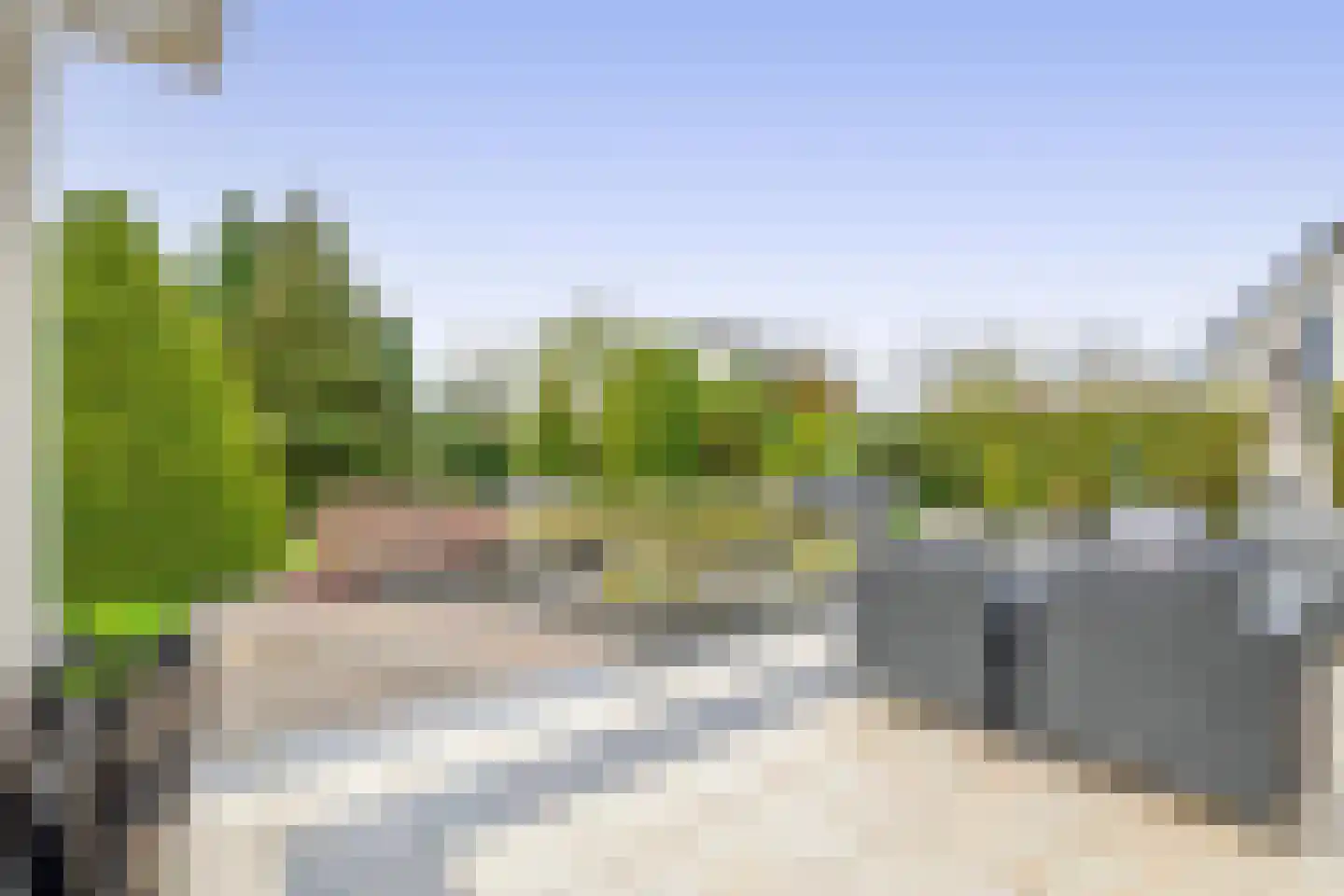 Het eenspan 4 Steenwijk thumbnail 90