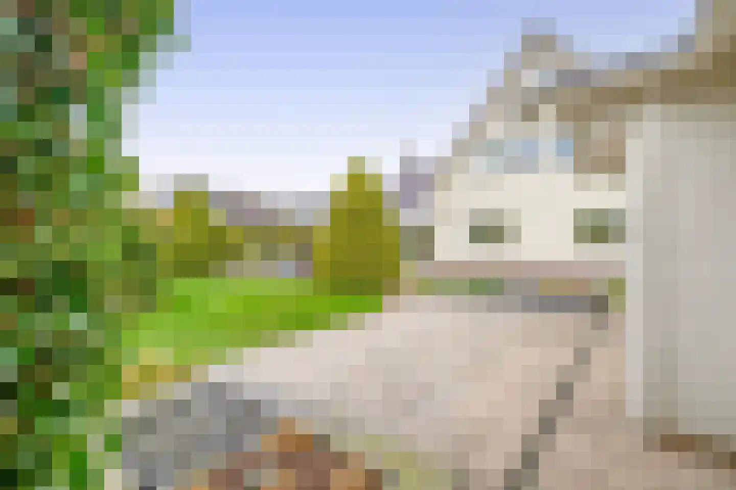 Het eenspan 4 Steenwijk thumbnail 92