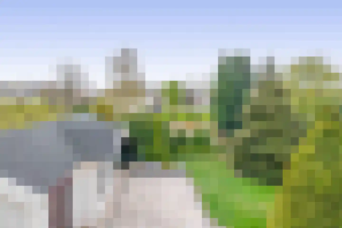 Het eenspan 4 Steenwijk thumbnail 97