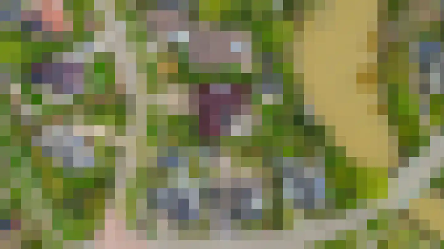 Het eenspan 4 Steenwijk thumbnail 99