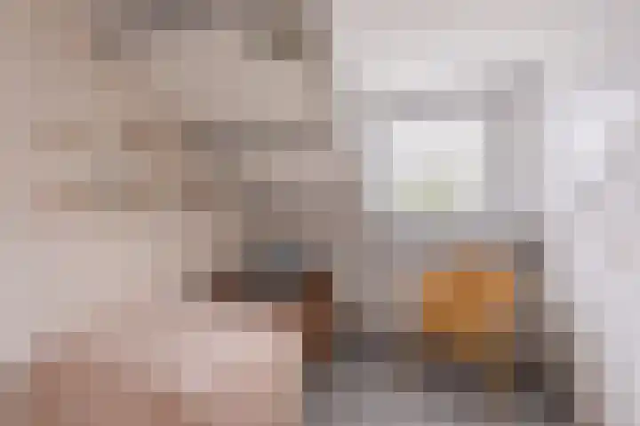 het Egbertink 102 Losser thumbnail 12
