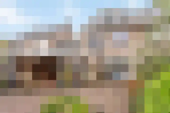 het Egbertink 102 Losser thumbnail 14