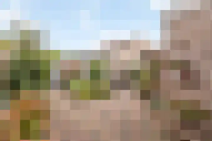 het Egbertink 102 Losser thumbnail 15