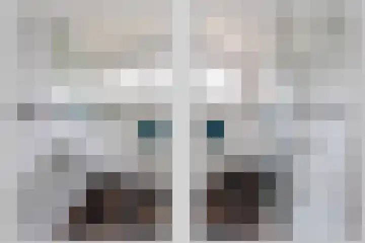 het Egbertink 102 Losser thumbnail 7