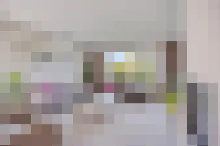 het Egbertink 11 Losser thumbnail 11
