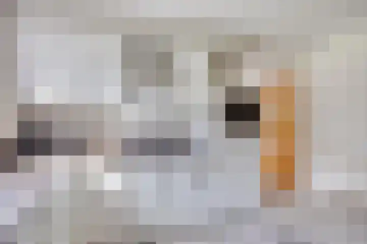 het Egbertink 11 Losser thumbnail 17