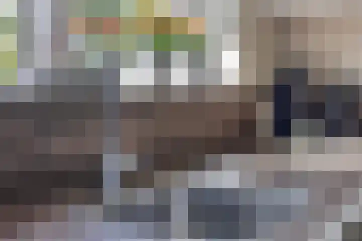 het Egbertink 11 Losser thumbnail 19
