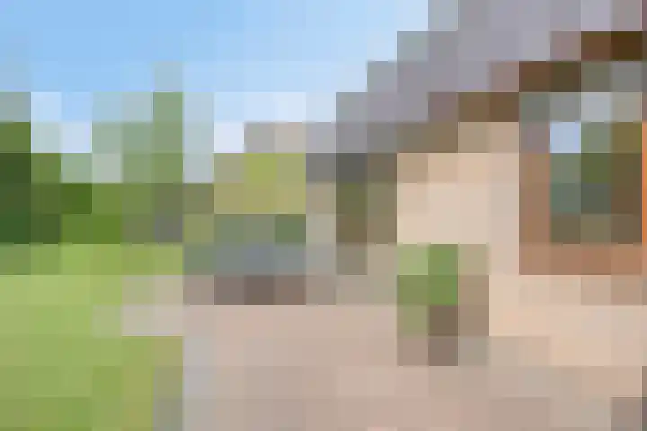 het Egbertink 11 Losser thumbnail 39