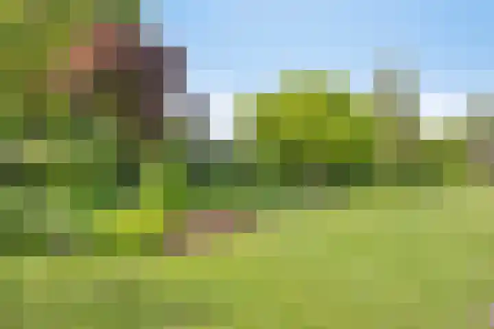 het Egbertink 11 Losser thumbnail 40