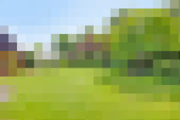 het Egbertink 11 Losser thumbnail 41