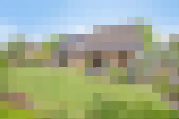 het Egbertink 11 Losser thumbnail 42