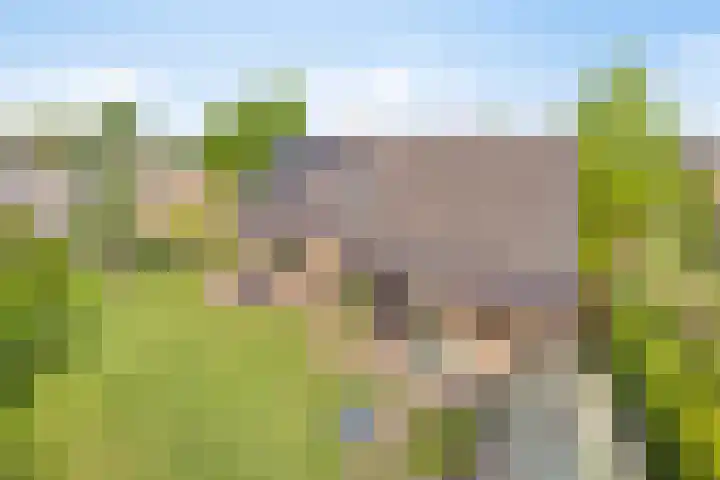 het Egbertink 11 Losser thumbnail 43