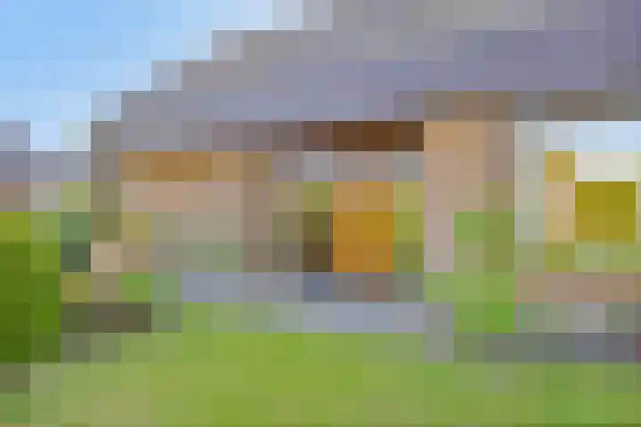 het Egbertink 11 Losser thumbnail 5