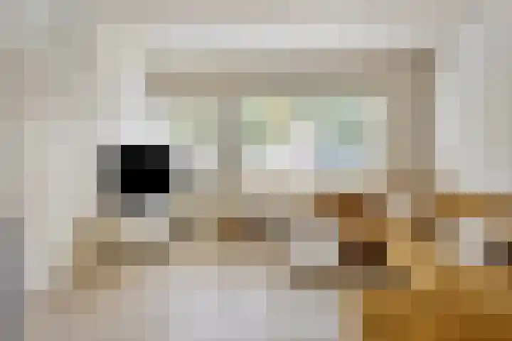 het Egbertink 136 Losser thumbnail 11