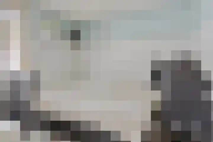 het Egbertink 136 Losser thumbnail 26