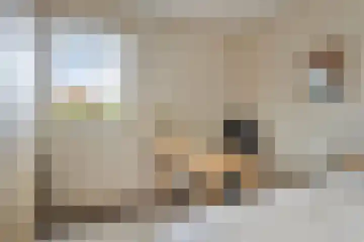 het Egbertink 136 Losser thumbnail 27