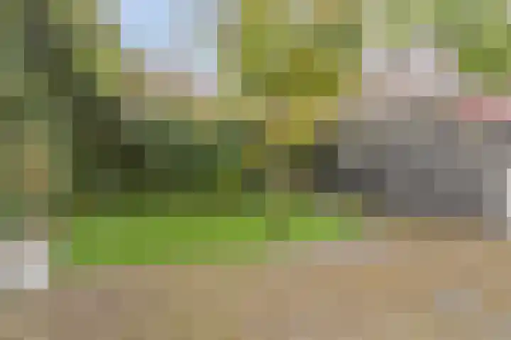 het Egbertink 136 Losser thumbnail 30