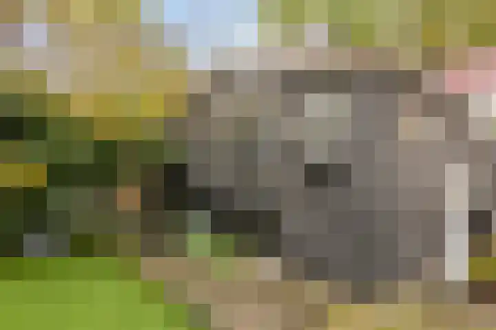 het Egbertink 136 Losser thumbnail 35